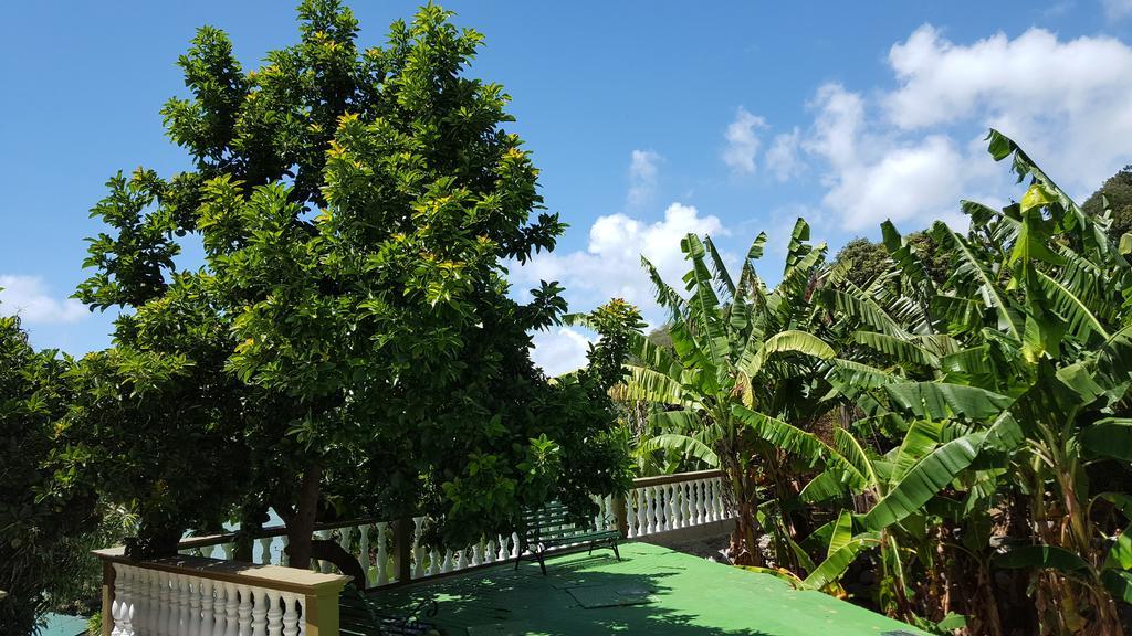 Hibiscus House Seychelles Self Catering Apartment Victoria Luaran gambar