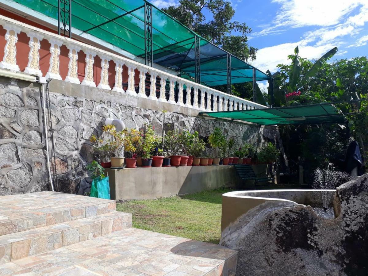 Hibiscus House Seychelles Self Catering Apartment Victoria Luaran gambar